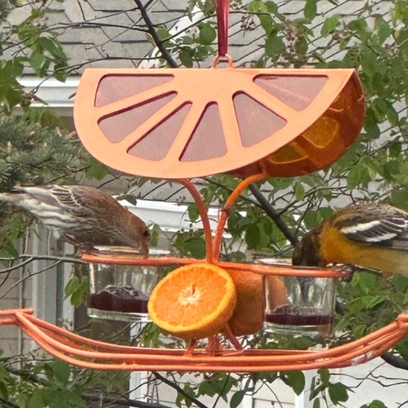 Bird Feeder Mansion. - Picture 14 of 14